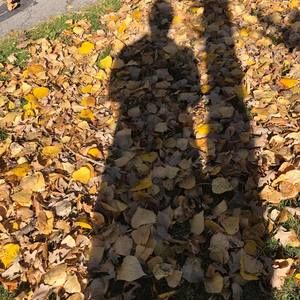 Meet your Posher, Terri